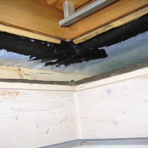 lapiviennit_ja_saumat-3-300x300